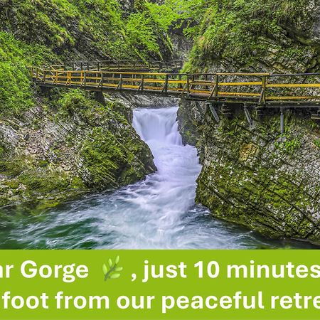 Apartment Valy - Free Bikes, Relaxing Terrace & Near Bled Exteriör bild