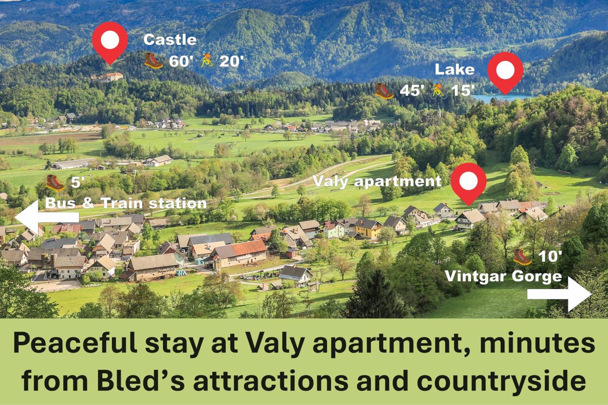 Apartment Valy - Free Bikes, Relaxing Terrace & Near Bled Exteriör bild