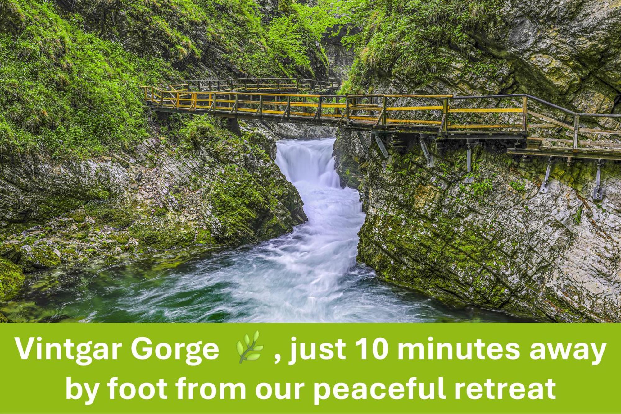 Apartment Valy - Free Bikes, Relaxing Terrace & Near Bled Exteriör bild